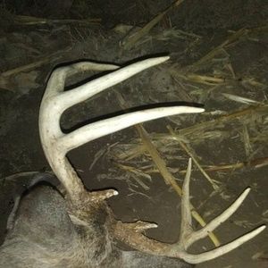 Meet your Posher, Hunter